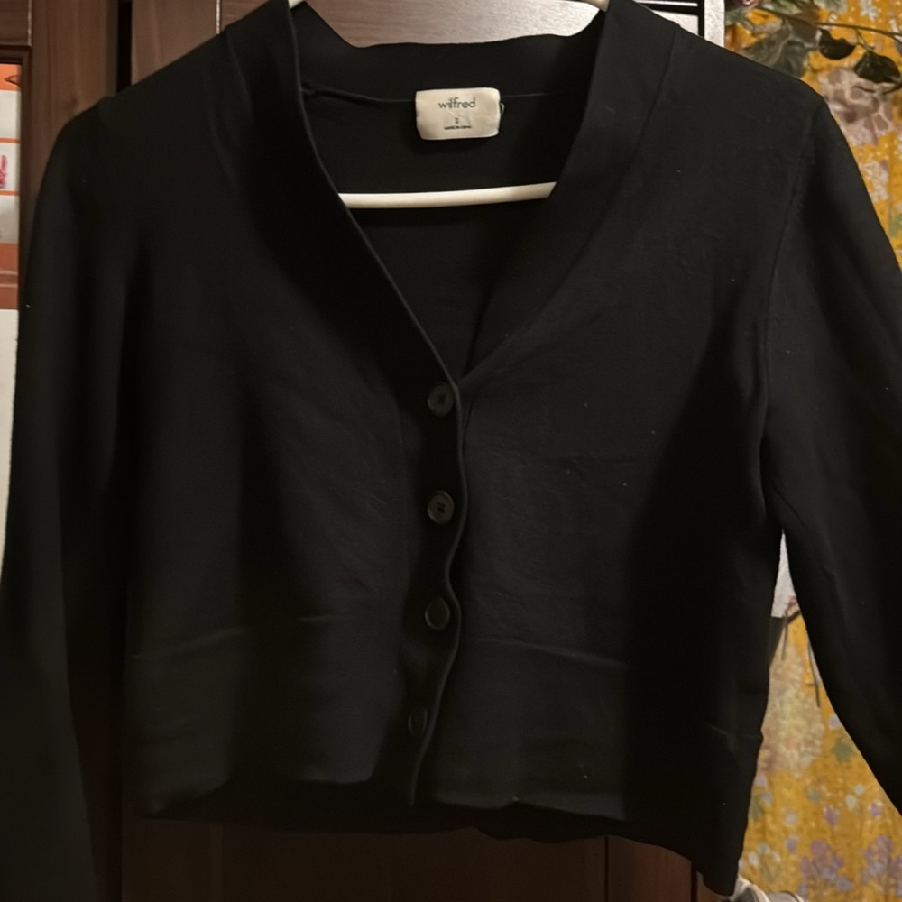Aritzia Wilfred 100% wool sweater
